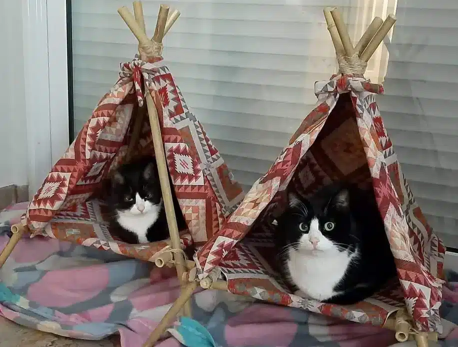 DIY Cat Teepee Tent