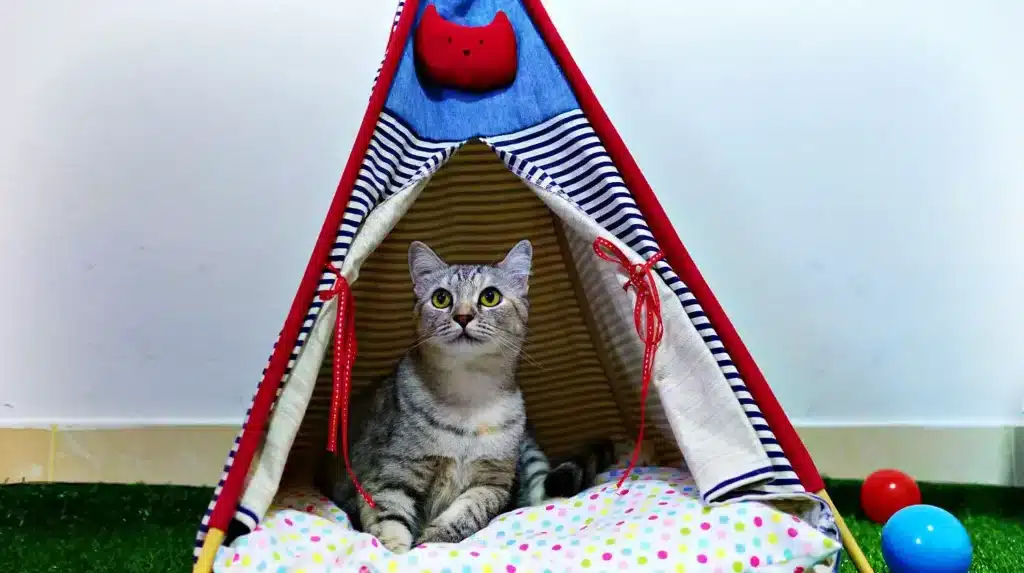 DIY Cat Tent