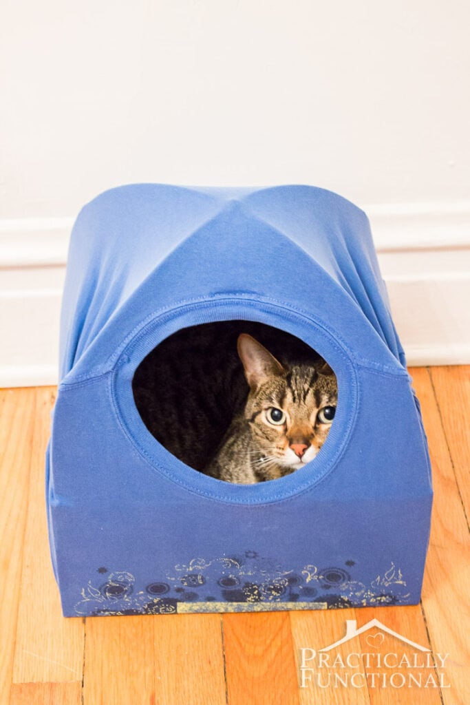 DIY Cat Tent Bed by Practically Functional