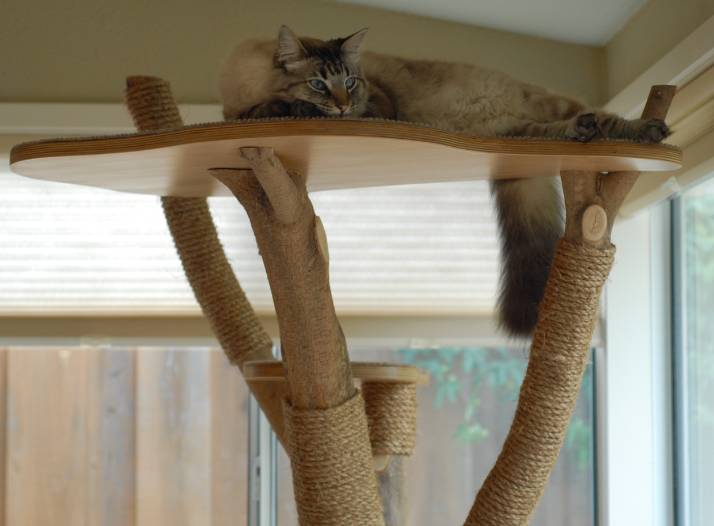 DIY Cat Tree 1