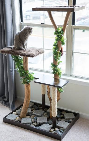 DIY Cat Tree From a Real Tree