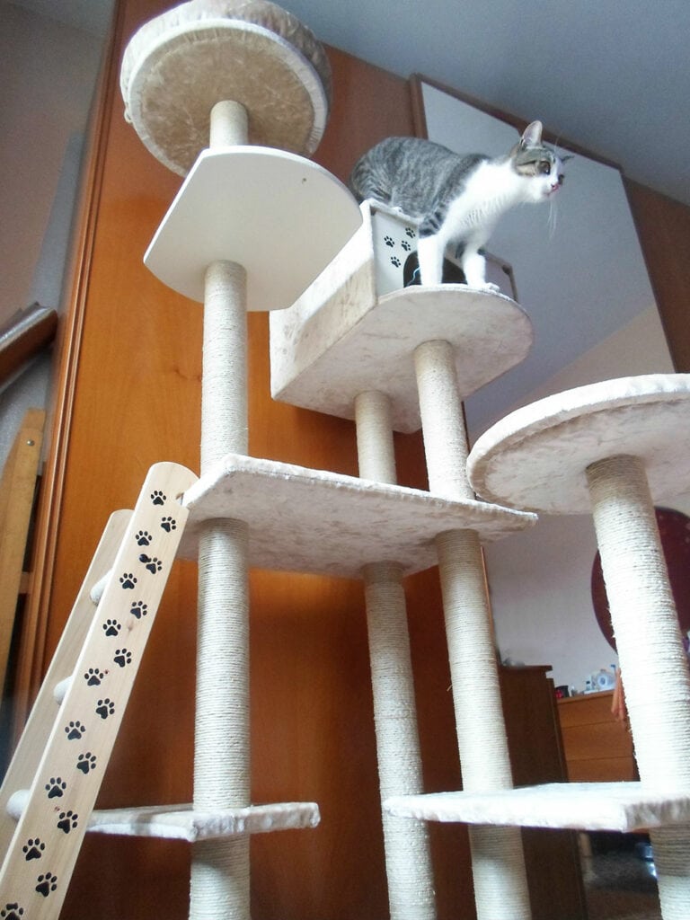 DIY Cat Tree House