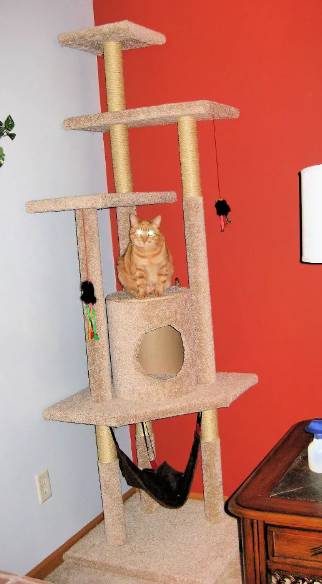 DIY Cat Tree with Step by Step Plan