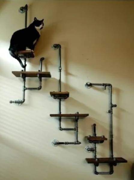DIY Cat Wall