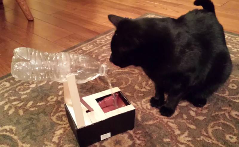 DIY Cat Water Fountain