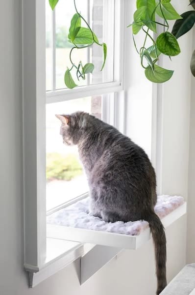 DIY-Cat-Window-Perch-bybrittanygoldwyn