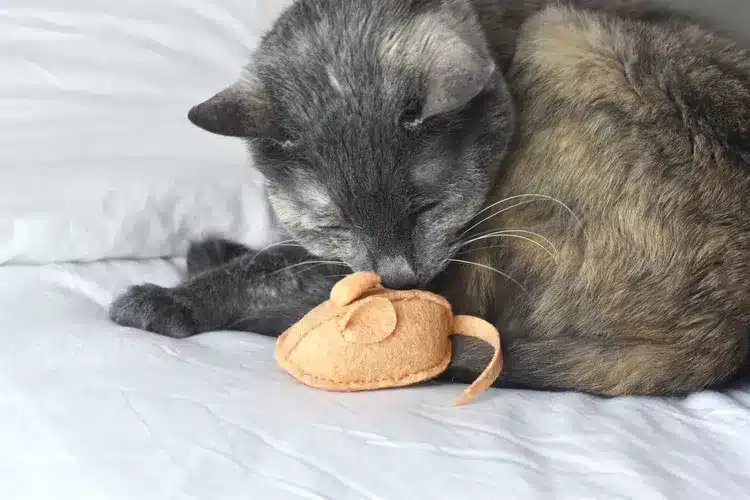DIY Catnip Mouse Cat Toy