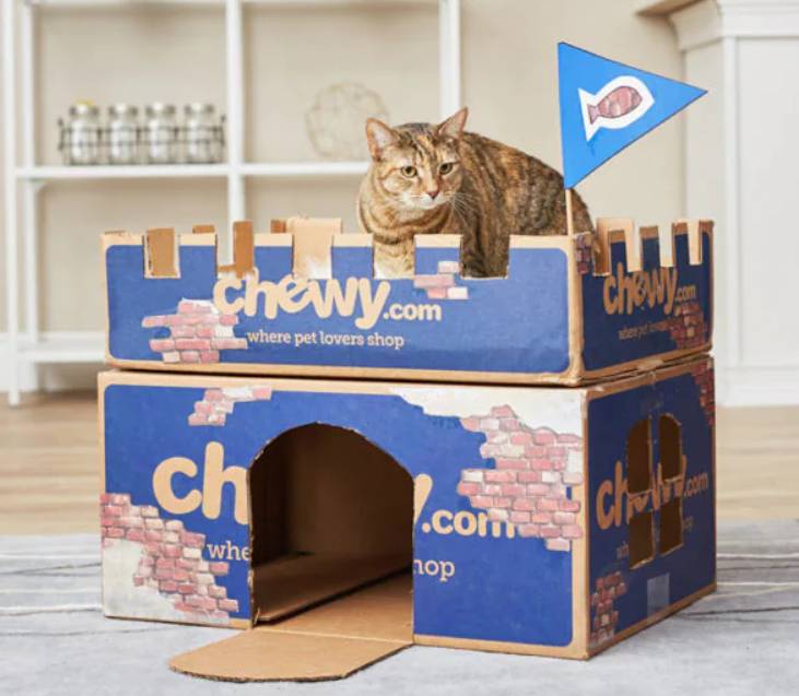 DIY Chewy Box Cat Castle