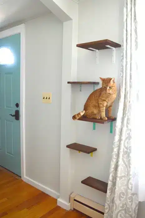 DIY Colorful Cat Shelves