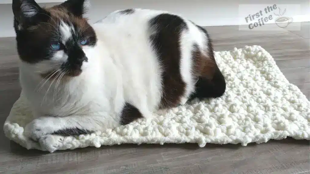 DIY Crochet Cat Mat