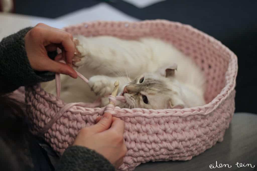 DIY Crocheted Cat Nest