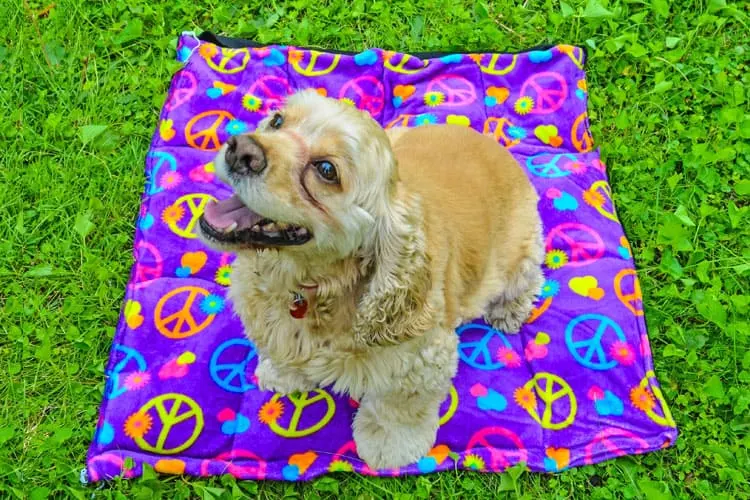 DIY Dog Cooling Mat by Diana Rambles