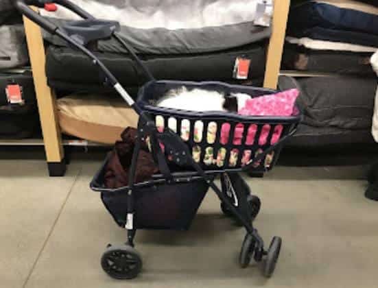 DIY Doggie Stroller