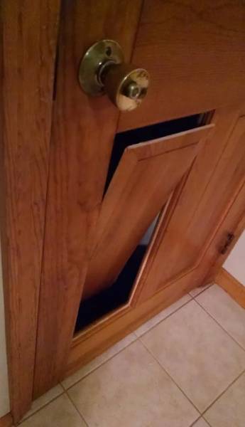 DIY Hidden Pet Door in Panel Door