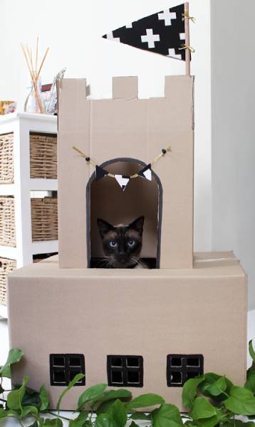 DIY Kitty Castle