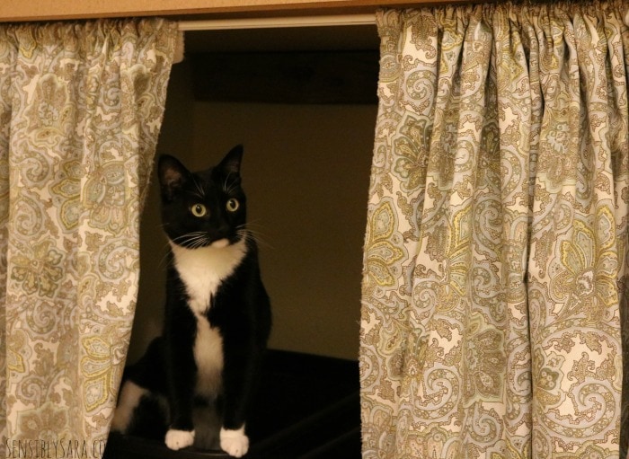 DIY No-Sew Cat Litter Box Curtain