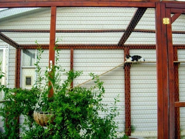 DIY_Outdoor_Cat_Enclosure_Catio