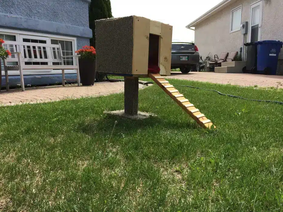 DIY Pedestal Outdoor Cat House