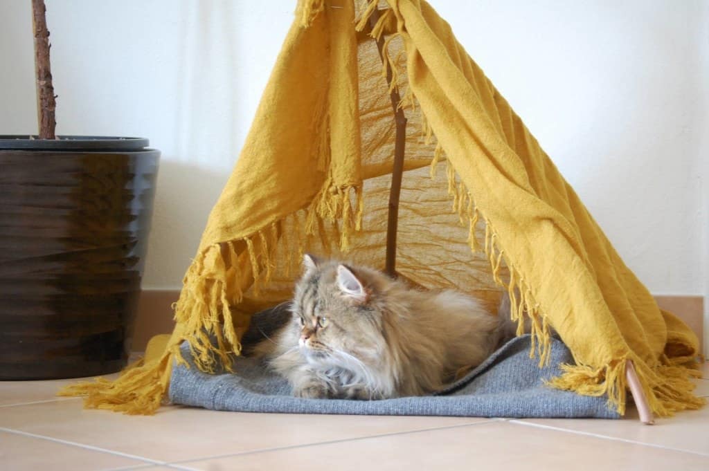 DIY Quick and Easy Cat Teepee