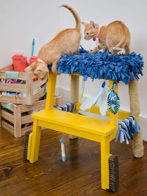 DIY Sensory Playground for Cats