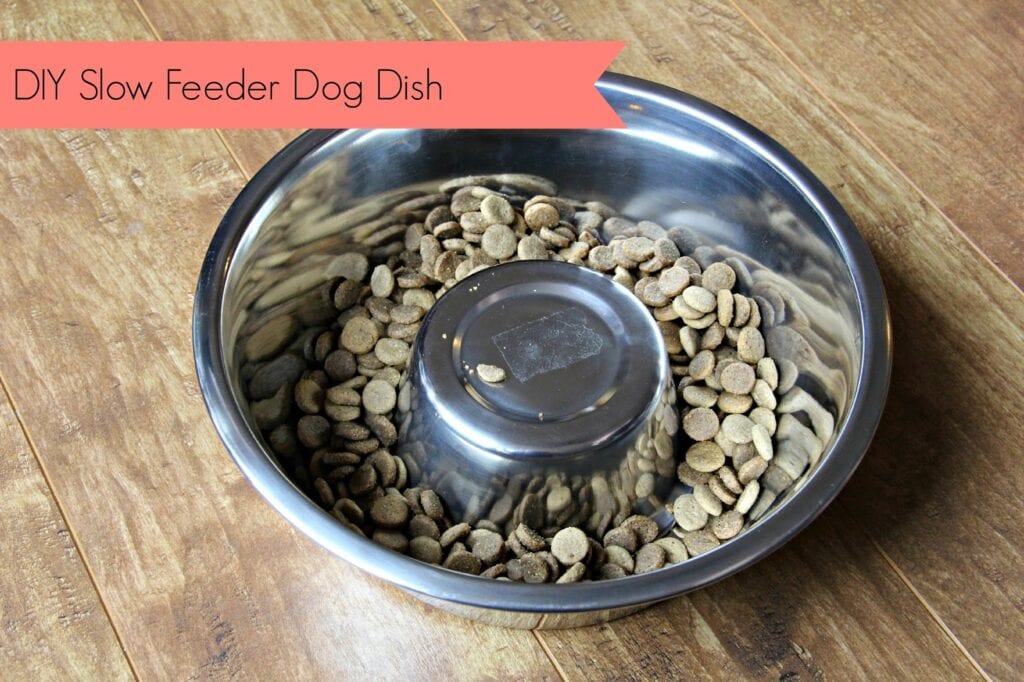 DIY Slow Feeder Bowl by No Ordinary Sparrow