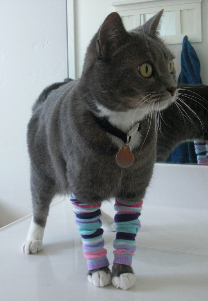 DIY Sock Cat Leg Warmers