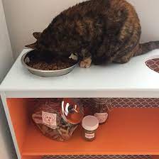 DIY Storage Shelf Cat Feeding Station