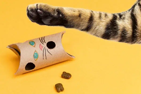 The Best Food Puzzles for Cats (And Why They're Important) - PetHelpful