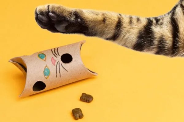 10 DIY Toilet Paper Roll Toys for Cats (With Pictures) - Catster