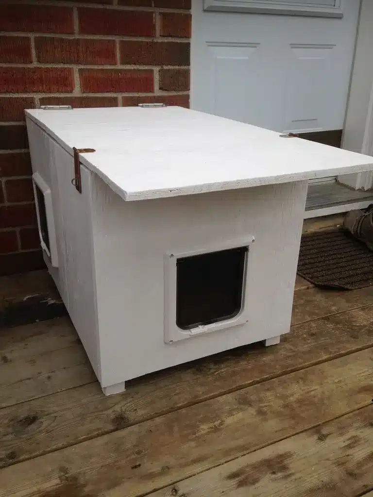 DIY Two-Door Cat House