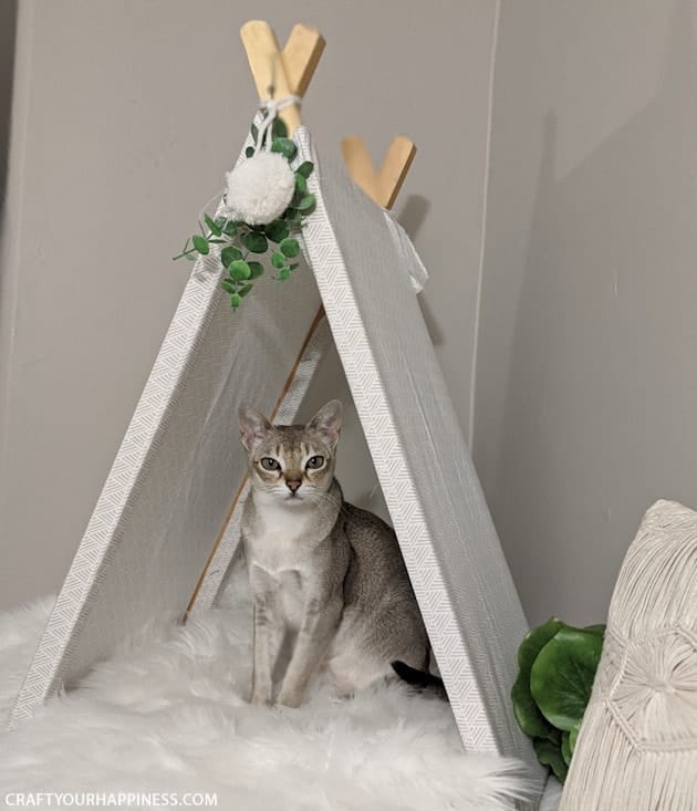 DIY Upcycled Cat Teepee