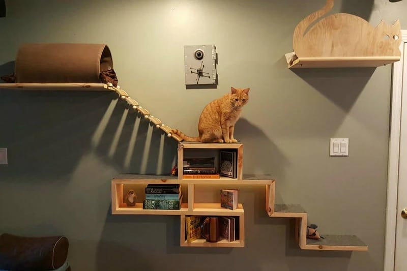 DIY cat bridge