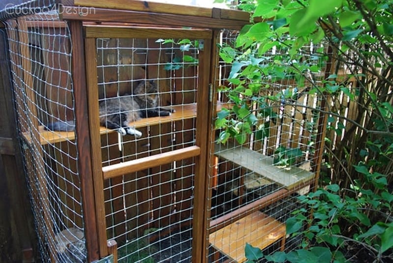 DIY cat catio