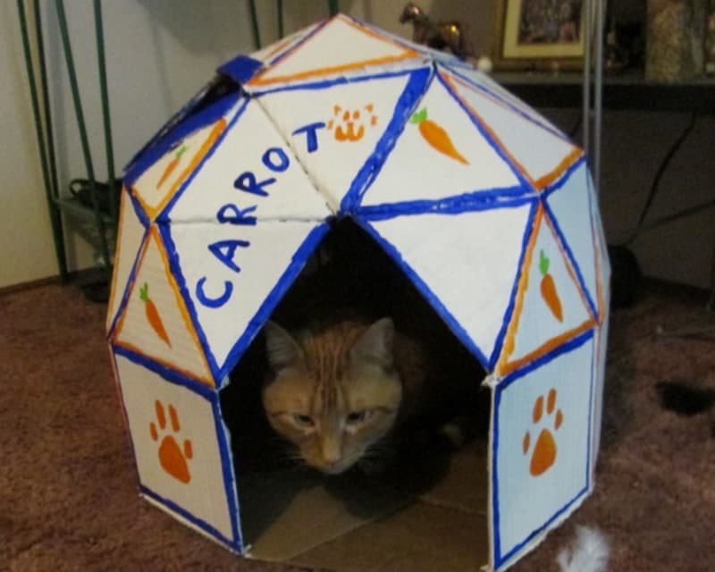 DIY cat cave