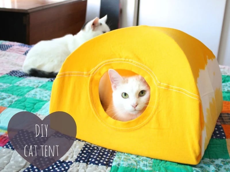 DIY cat cave