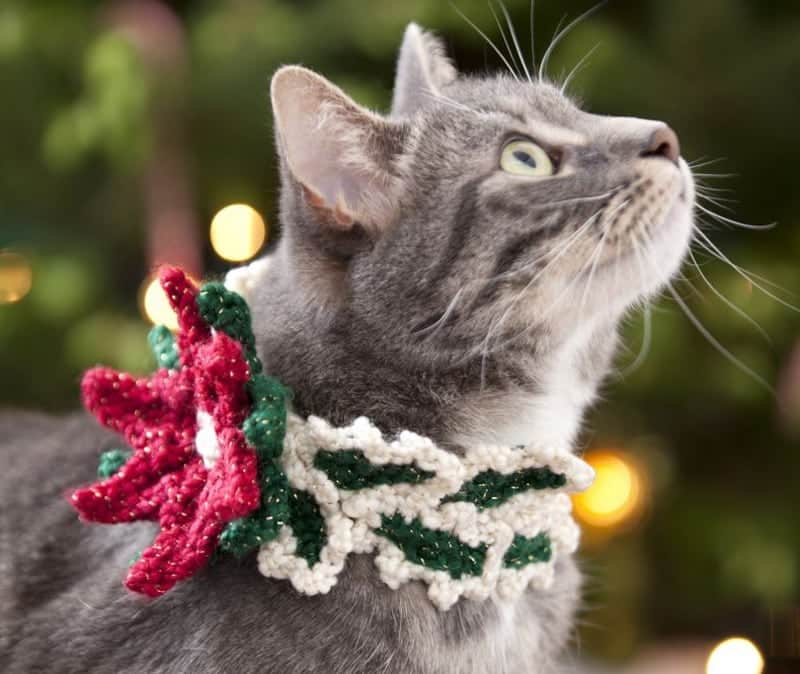DIY cat christmas sweater