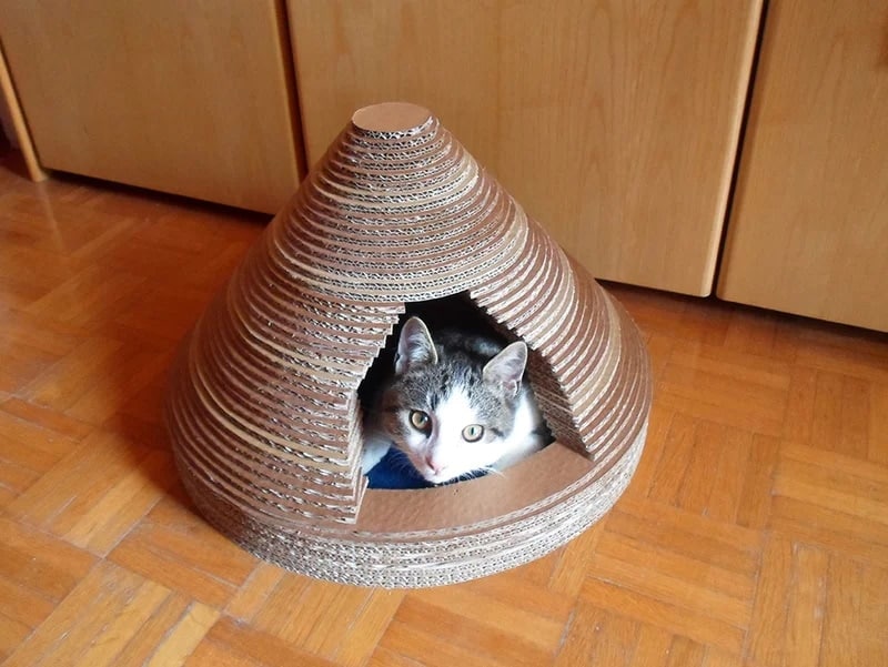 DIY cat house