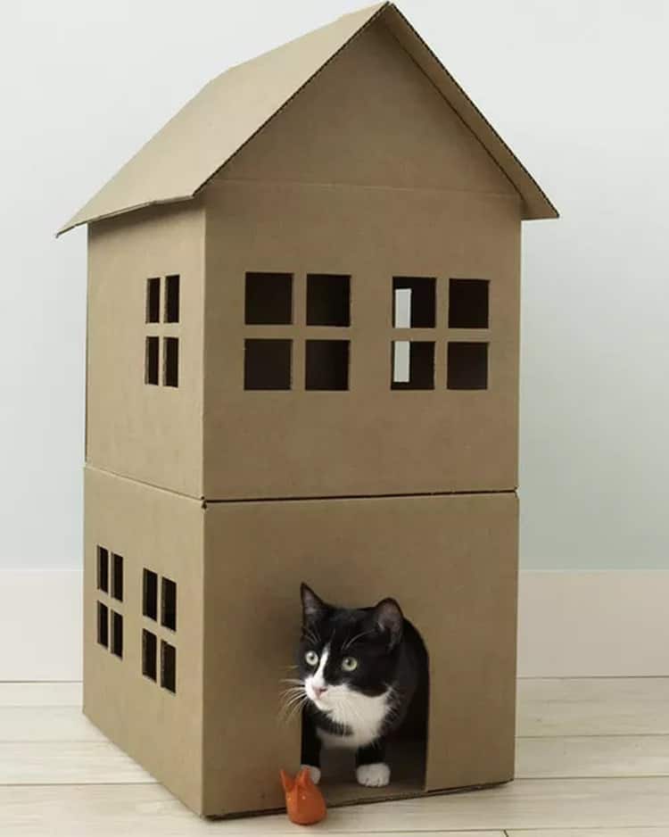 DIY cat house