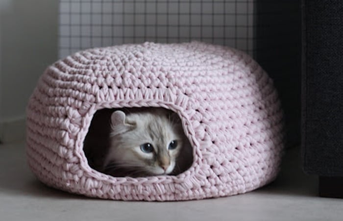 DIY cat house