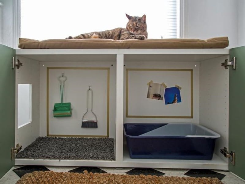 DIY cat litter box enclosure