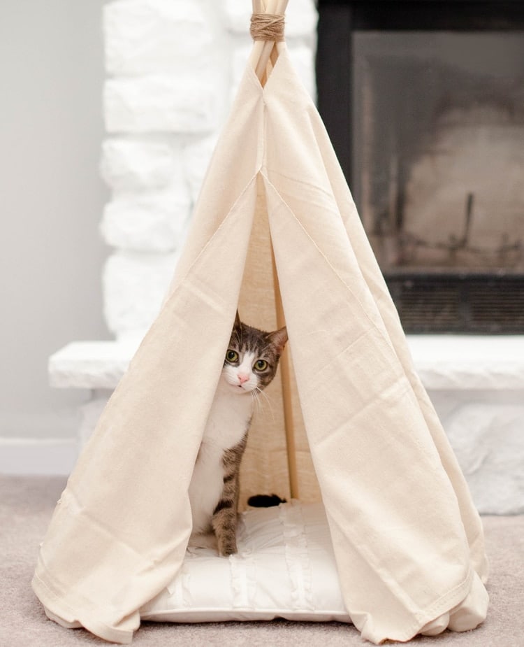 DIY cat tent