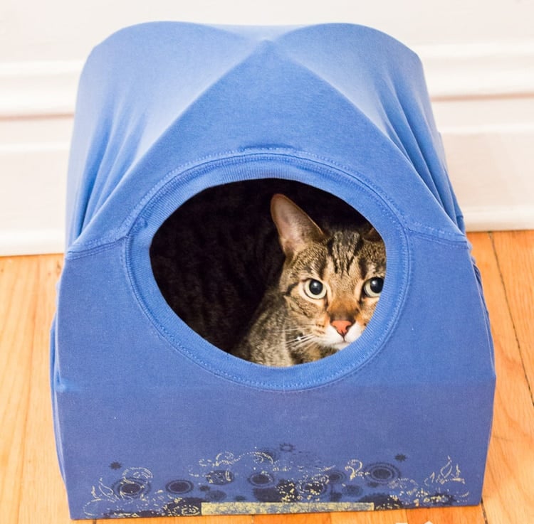 DIY cat tent