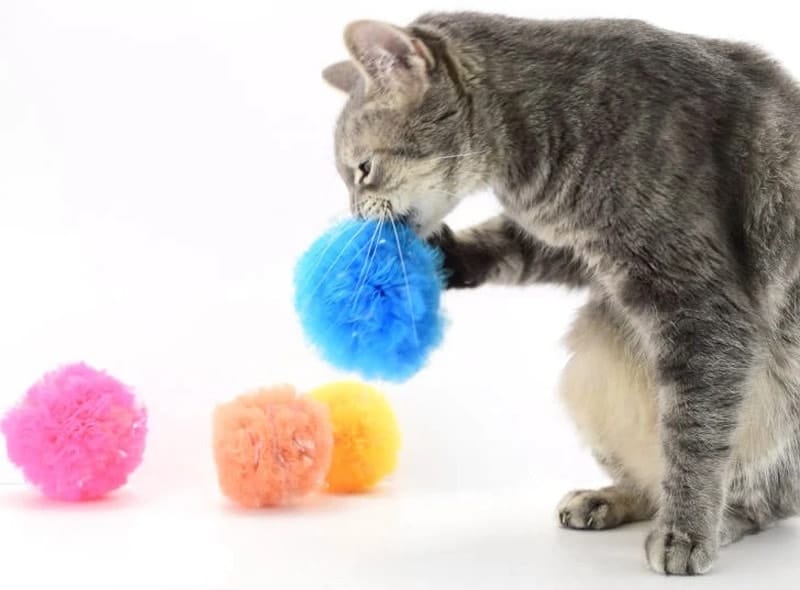 DIY cat toy