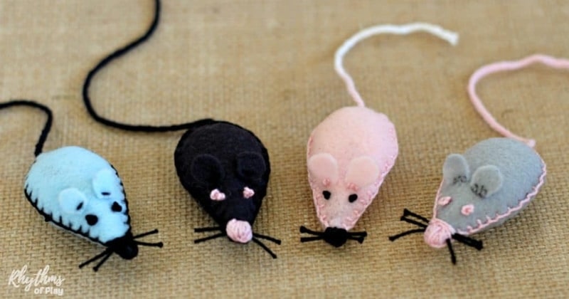 DIY cat toy