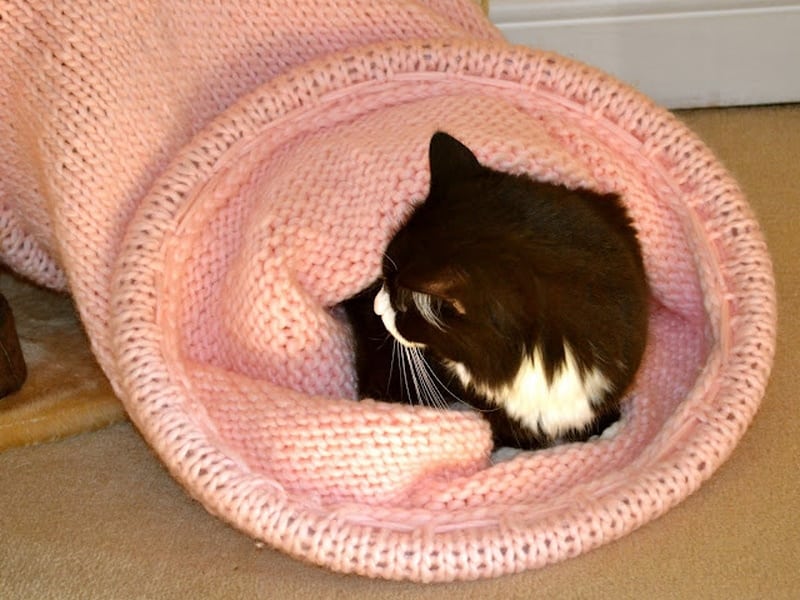 DIY cat tunnel