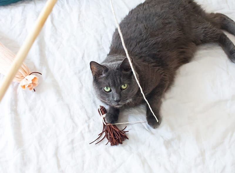 DIY cat wand