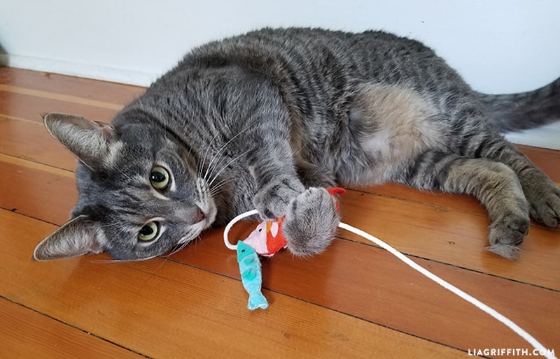 DIY cat wand