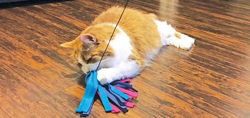 DIY cat wand