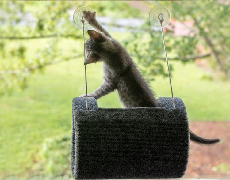 DIY cat window perch