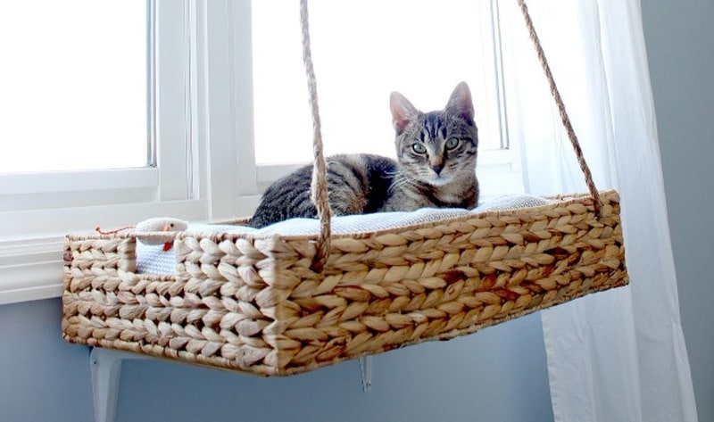 DIY cat window perch